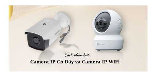 Phân Biệt Camera IP WiFi và Camera IP Có Dây: Ưu Nhược Điểm 2 Loại Phân Biệt Camera IP WiFi và Camera IP Có Dây